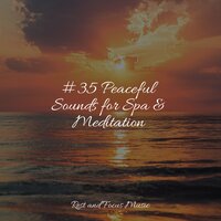 Deep Sleep State - Sounds of Nature White Noise for Mindfulness Meditation and Relaxation & Sounds of Nature White Noise Sound Effects & Ambient Forest