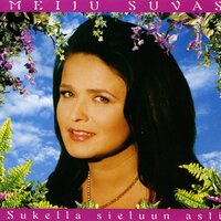 Hei me teemme sen - Meiju Suvas