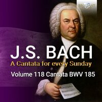 Barmherziges Herze der ewigen Liebe, BWV 185: III. Aria. Sei bemüht in dieser Zeit (Alto) - Netherlands Bach Collegium & Pieter Jan Leusink & Sytse Buwalda & Johann Sebastian Bach