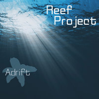 Spotted Ray - Reef Project