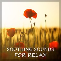 Deep Sleep - Relax Time Universe
