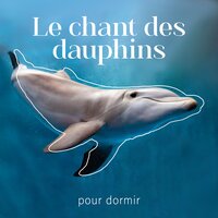 Baleines chantantes - Relaxation Mentale