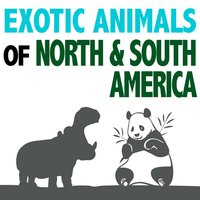 Reindeer - Grunts and Calf in Background - Pro Sound Effects Library