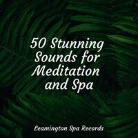 Wellbeing - Deep Sleep Music Academy & Massage Music & Nursery Rhymes