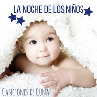 Curación Música - Nuevas Luces