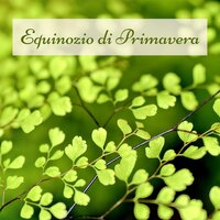 Musica Rilassante per Dormire - Madre Natura