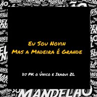 Eu Sou Novin Mas a Madeira É Grande - DJ PK O ÚNICO & Iraqui Zl