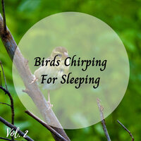Robin - Nature Sounds Nature Music & Sleep Music: Native American Flute & microhope