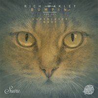 That's The Joint - Rich Wakley & Superlover