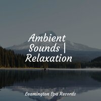 Clear Mind - Lightning & Rising Higher Meditation & Study Music & Sounds