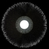 Rabbit Hole - Midnight Juggernauts