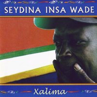 Ginko Biloba - Seydina Insa Wade