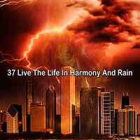 Бурное начало - Rain Recorders