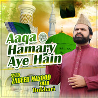 Aaqa ﷺ Hamary Aye Hain - Syed Zabeeb Masood Shah Bukhari