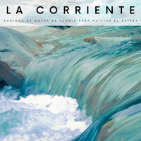 Sonidos De Afluentes - Academia de Música con Sonidos de la Naturaleza & Música de relajación profunda & Paz Nirvana