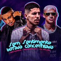 Sem Sentimento Botada Concentrada - Brankin Mr & PK Delas & Mc Roger