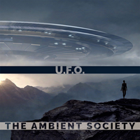 Amidst the Chaos I Found a Method - The Ambient Society