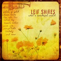 Scarborough Fair - Leif Shires