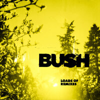Glycerine - Bush & Corey Britz