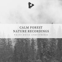 Nemesis in Rift Valley - White Noise Atmospheres & Nature Recordings