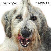 Tom Cruise - HamYai