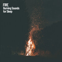 Fire Crackle - Fire Sounds & Sounds of Nature Noise & The Nature Soundscapes
