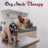 The Music Now Begins - Music for Calming Dogs & Music for Leaving Dogs Home Alone & Sleepy Dogs