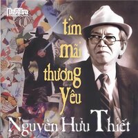 Điệp Khúc Ưu Tư - Nguyễn Hữu Thiết