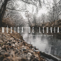 Lluvias De Verano - Cascada de Lluvia & #Relajante & Música Relajante Para Leer
