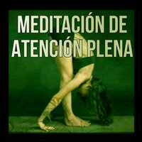Música para el estudio del examen - Meditación Música Ambiente
