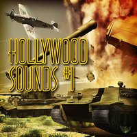 Sea Lion Barking - Animal - Dr. Sound FX