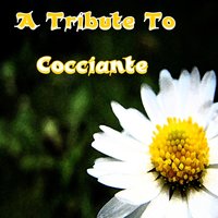 Questione di feeling - Studio Sound Group