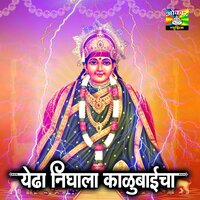 Dil Lagta Nahi Baya Baya - Rekha Rao