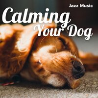 Puppy Bedtime - Relaxing Music for Dogs & Calming Dog Jazz & Dogs Jazz