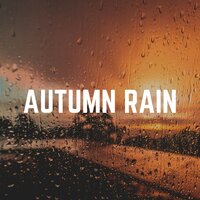 Sheltered from the Rain, Pt. 20 - Rain Sounds for Relaxation