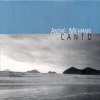 Choro da Contínua Amizade - André Mehmari