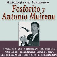 Fiesta en Cádiz - Fosforito