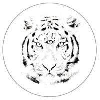 clarity - tiiiger