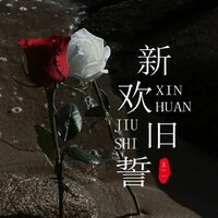 新欢旧誓 - 王一一