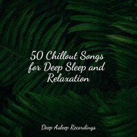 Falling Asleep Softly - Tonal Meditation Collective & Sleep Meditation Dream Catcher & Musica relajante