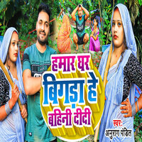 Hamar Ghar Bigada He Bahini Didi - Anurag Pandit