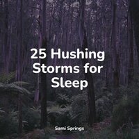 Rainy Ambience - Deep Sleep FX & Sleep Songs with Nature Sounds & Guided Meditation