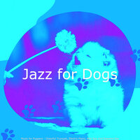 Dashing Backdrops for Dog Walking - Jazz for Dogs