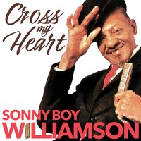 Nine Below Zero - Sonny Boy Williamson