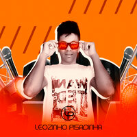 Vai Malvadinho - LEOZINHO PISADINHA
