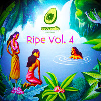 No Violence Riddim - Roommate