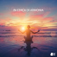 Percorso della vita - Relax Musica Zen Club