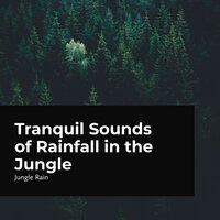 In the Heart of the Forest - Jungle Rain
