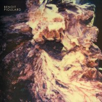 Foxtail - Benoît Pioulard