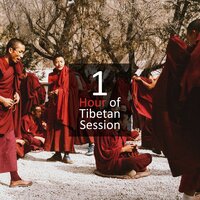 Alternative Medicine - Oasis of Relaxation Meditation